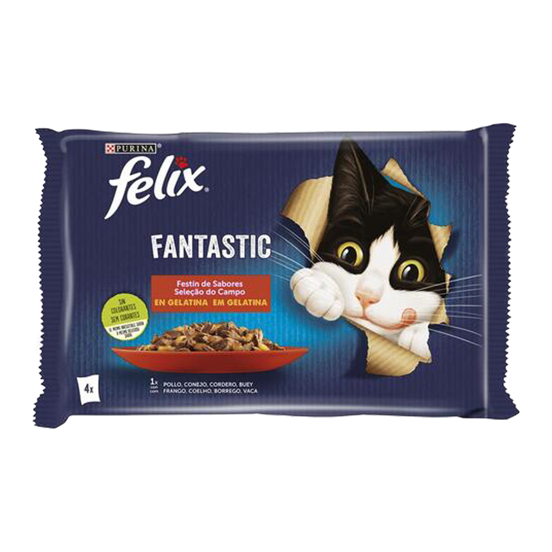 Felix Fantastic – Festin de saveurs en gelée – Sachet (4x85g)