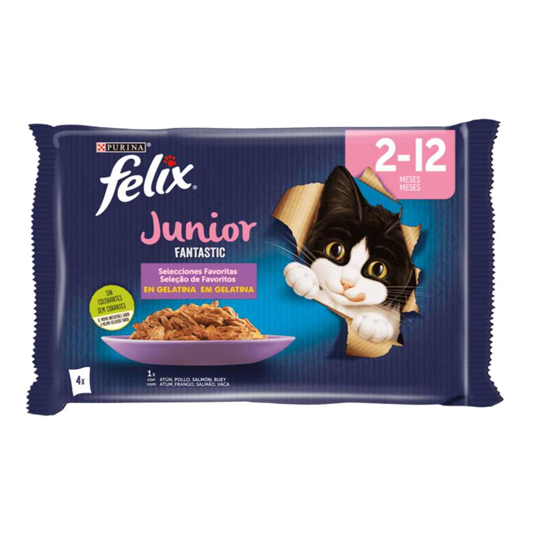 Felix Junior – 2 à 12 mois – Sachet (4x85g)